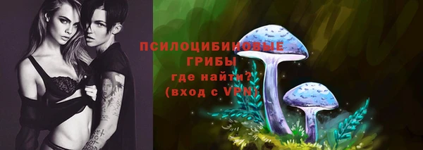 альфа пвп Семикаракорск