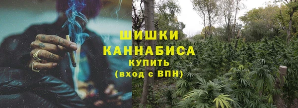 ПСИЛОЦИБИНОВЫЕ ГРИБЫ Балахна