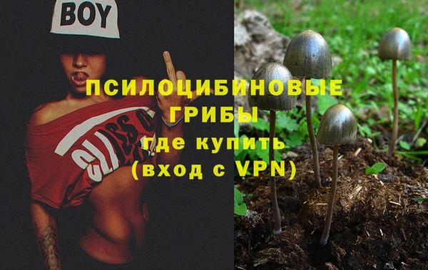 тгк Баксан
