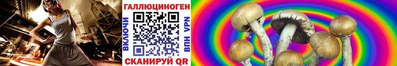 где продают   Ветлуга  Псилоцибиновые грибы мухоморы 